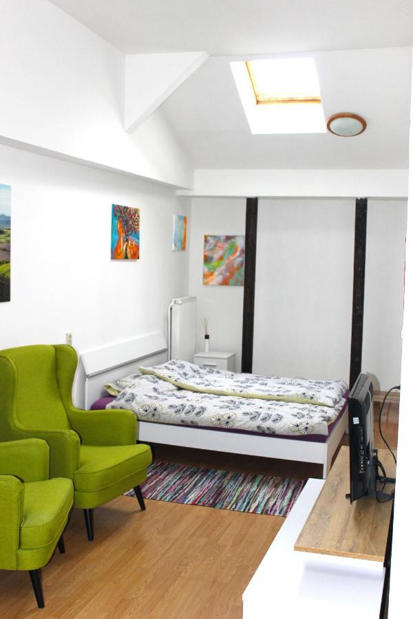 Krasny Priestranny Slnecny Apartman V Centre Mesta Trenčín Exteriér fotografie